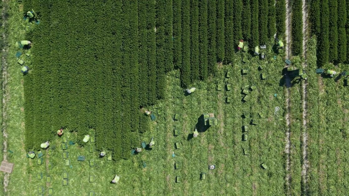 Agrícola Hermanos Marín